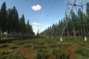 Deer Lands 4