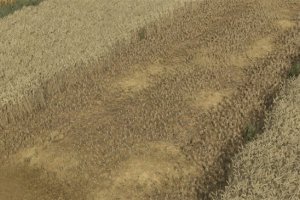 Straw Chopper 3