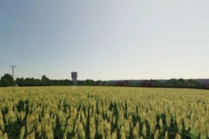 Knuston High Farm 6