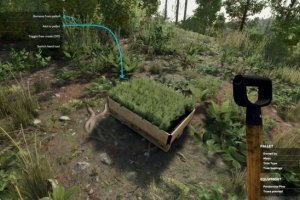 Hand Plant Saplings 3
