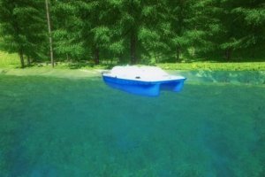 Pedal Boat 4