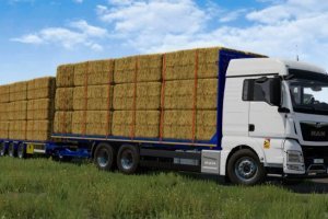 MAN TGX 26.640 Straw Bale 3