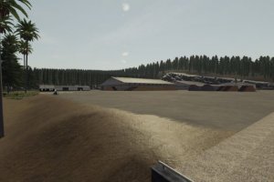 Ocean Side Forest 3