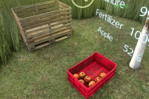 Выращивание яблок - New Apple Tree 4