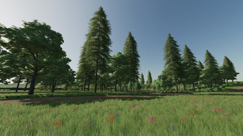 Avon Valley