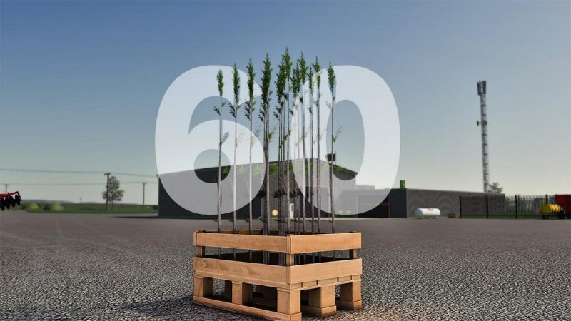 Pallet of 60 tree shoots главная картинка
