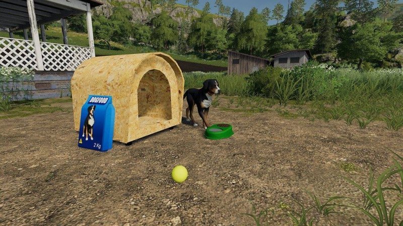 Brazilian Dog House главная картинка