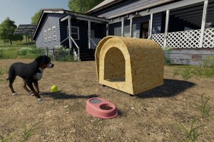 Brazilian Dog House 2