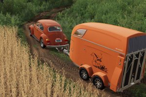 AWM Beetle 4