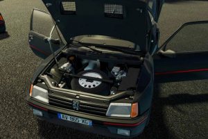 Peugeot 205 Turbo 1984 4