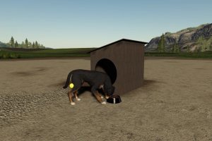 Polish Dog House 2