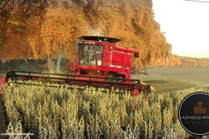 Case IH 2388-2588 AxialFlow US Series 5