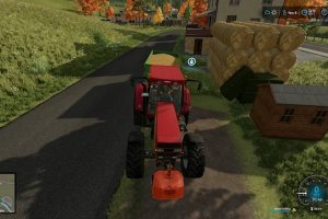 Paglia Shop 2