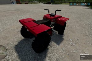 Lizard Quad Bear 4x4 2