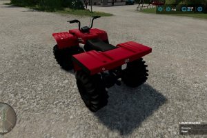 Lizard Quad Bear 4x4 3