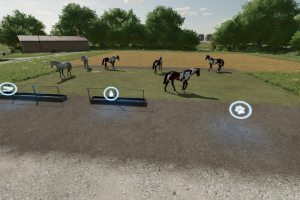 Free Horses 3
