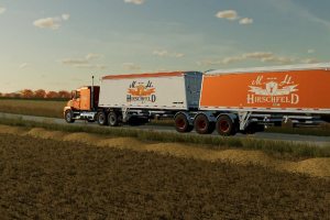Roadtrain - Distinction Super B Hirschfeld Edition 6