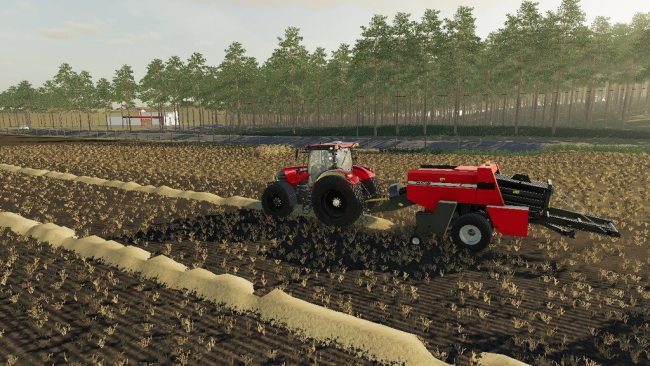 Case 8575 2