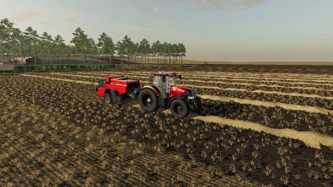 Case 8575 3