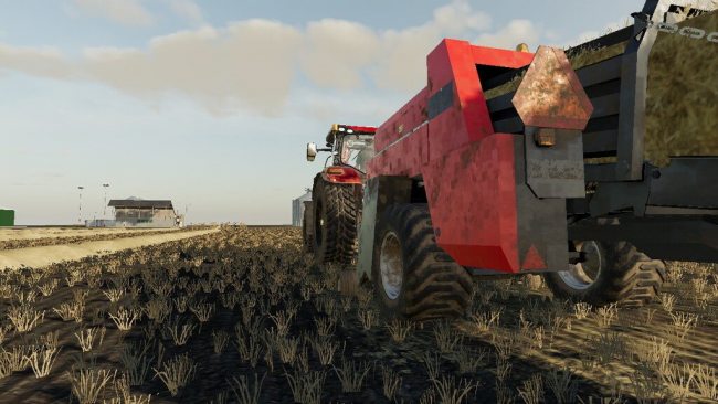 Case 8575 4