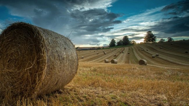 Calmsden Farm - Переделка главная картинка