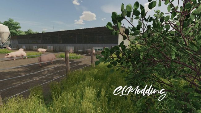 Modern Piggery