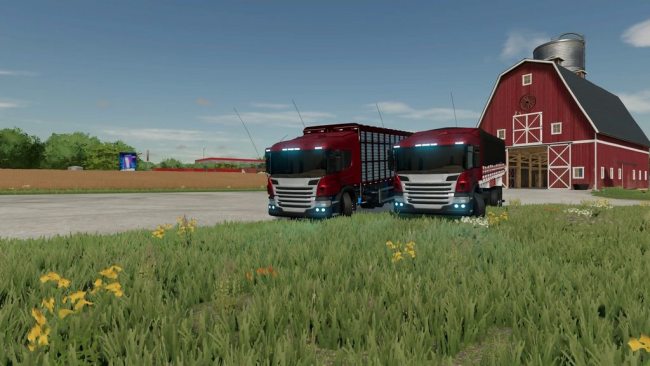 Scania P310 Bodyworks