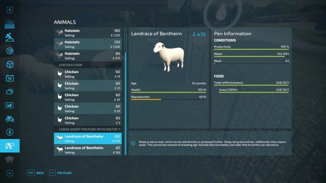 Eco Sheep Paddock