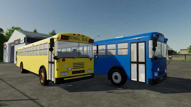 Blue Bird School