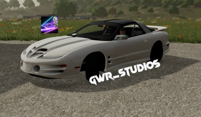 2002 WS6 Trans Am