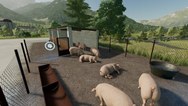 Homestead Pig Barn