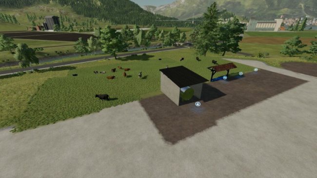 Open Cattle Pasture