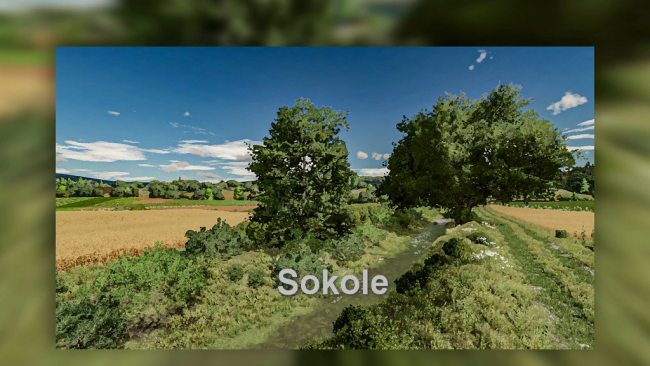 Sokole