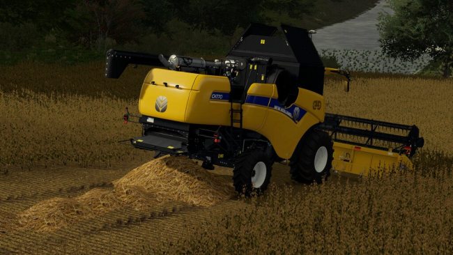 Soybean Straw