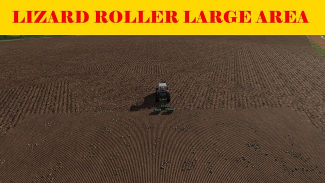 Lizard Roller Large Area