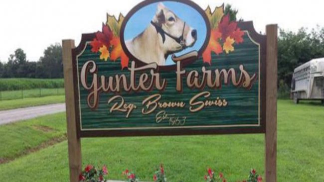 Gunter Farm 4x