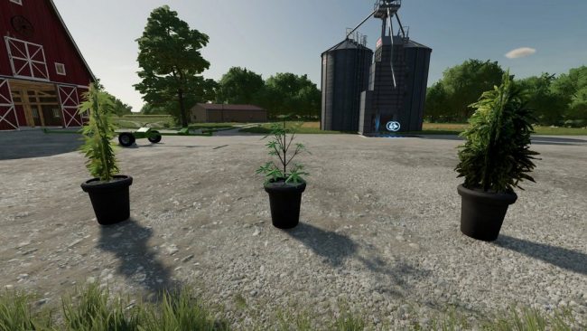 Cannabis Plants Pack