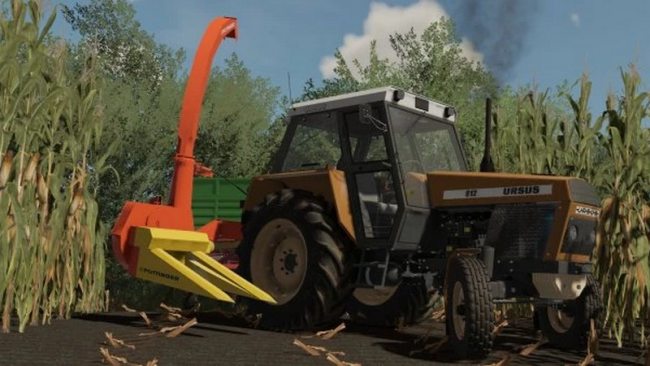 Pottinger Mex