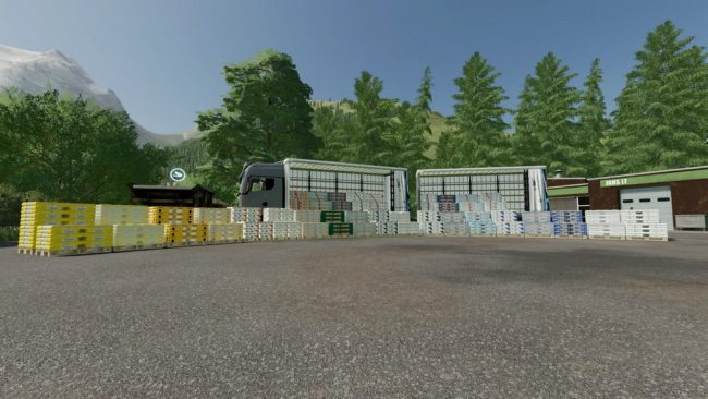 BDM Paletten Pack