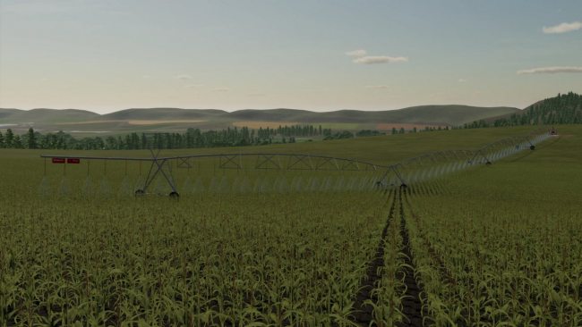 Pivots Lindsay
