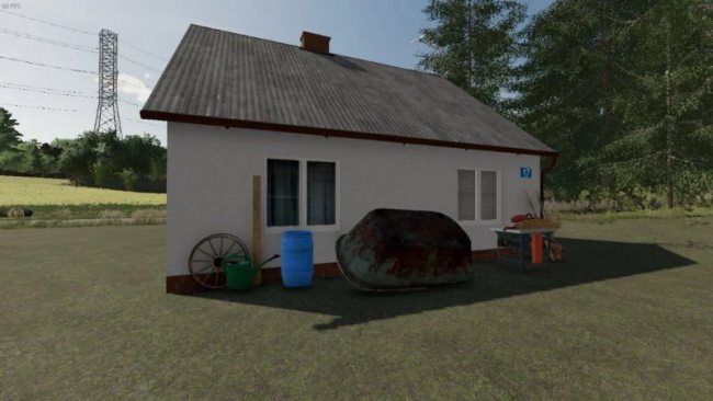 Small Polish House