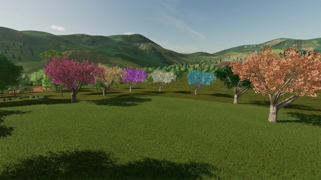 Lapacho Trees