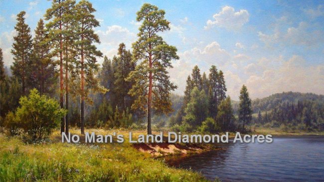 No Man's Land Diamond Acres