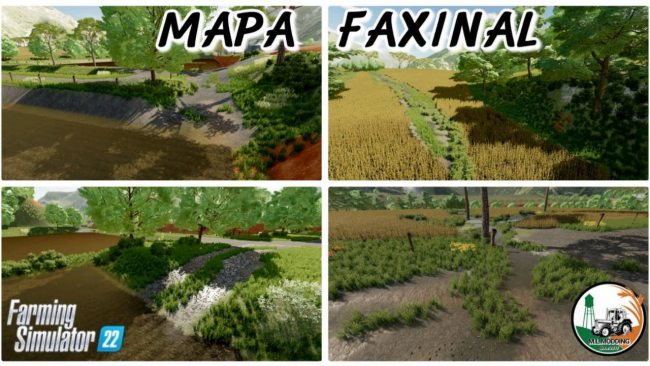 Faxinal