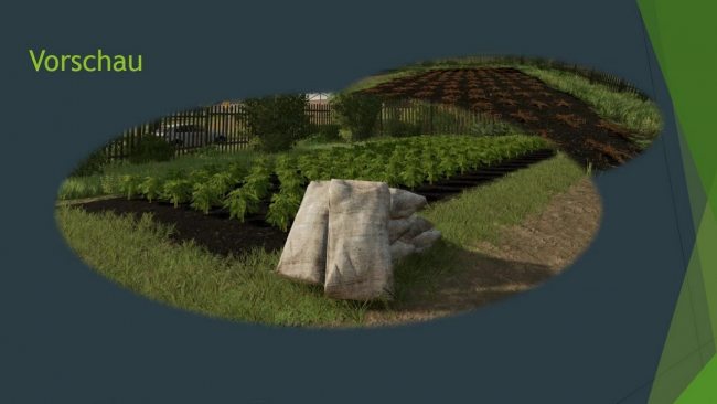 Hof Bergmann allotment planting potatoes