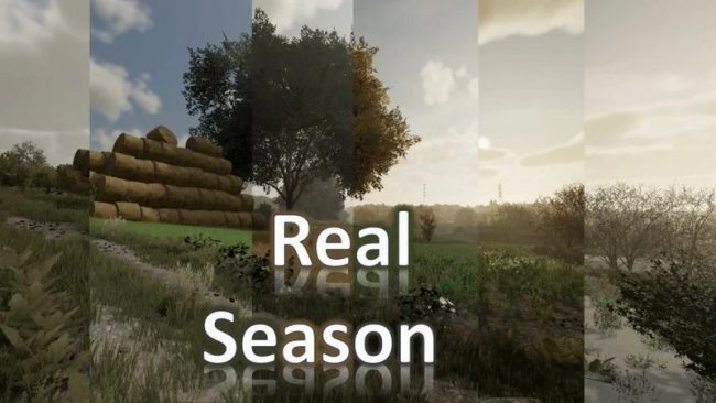 RealSeason