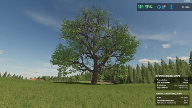 Giant Chestnut