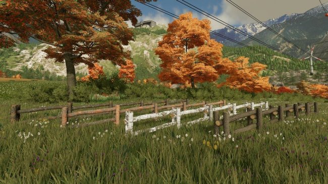 Tree Trunk Fences