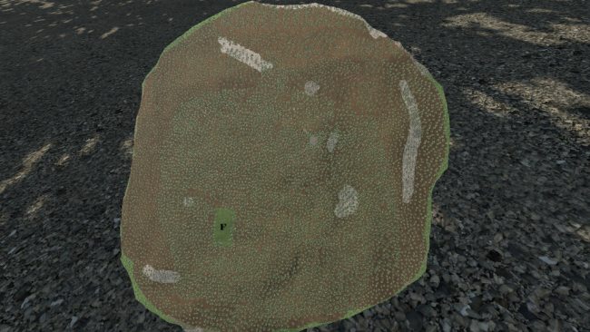 Forest Challenge