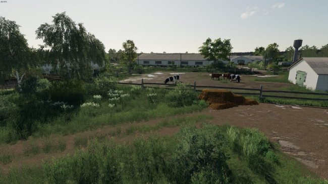 Совхоз Рассвет 5
